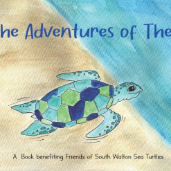 The_Adventures_of_Theo_Childrenbook